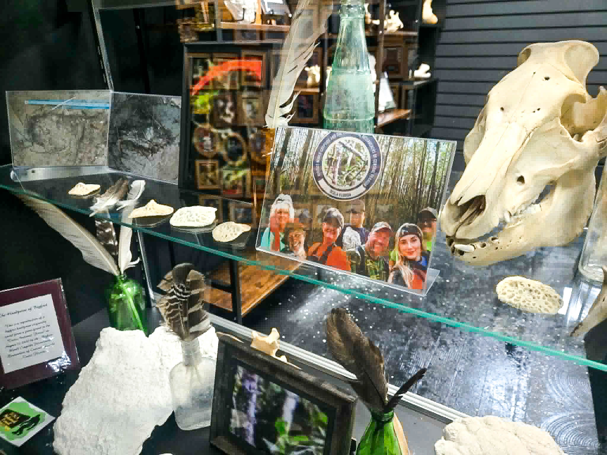 Bigfoot World exhibit at the Lake Square Mall oddity store